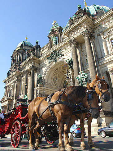 Pferdekutsche vor dem Berliner Dom