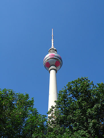 Fernsehturm und Bäume Fotos