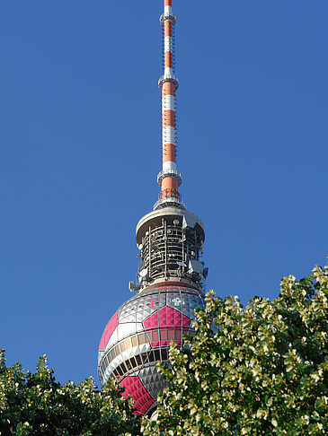 Fernsehturm und Bäume Fotos