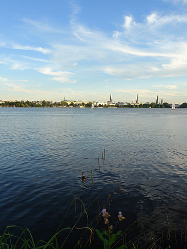 Außenalster Panorama Foto 