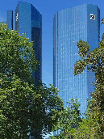 Fotos Deutsche Bank mit Bäumen