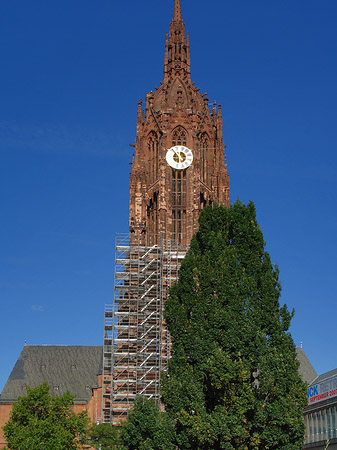 Kaiserdom St. Bartholomäus mit Baum Foto 