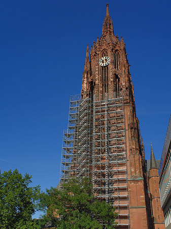 Fotos Kaiserdom St. Bartholomäus mit Baum | Frankfurt am Main