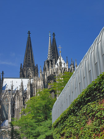 Hauptbahnhof vor dem Kölner Dom Foto 