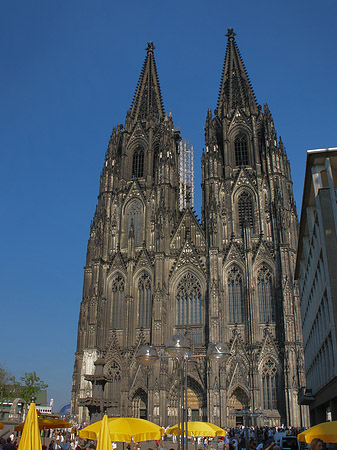 Fotos gelbe Sonnenschirme vor Kölner Dom