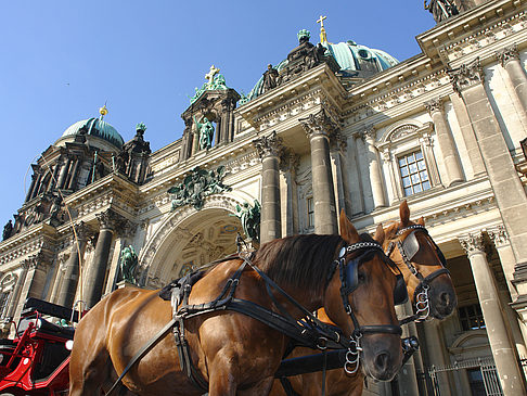 Fotos Pferdekutsche vor dem Berliner Dom