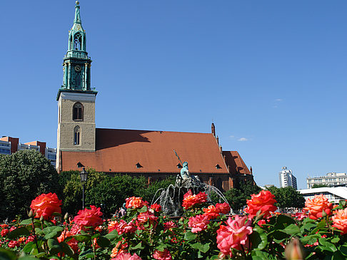 Fotos Marienkirche | Berlin