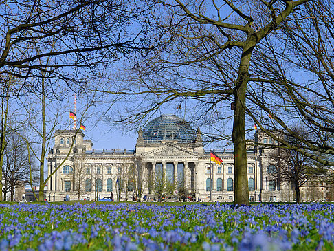 Foto Blumenwiese am Reichstag - Berlin