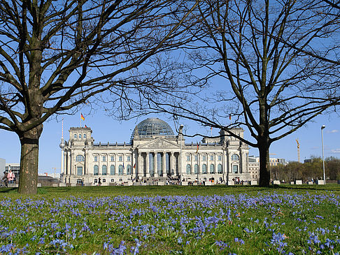 Fotos Parkanlage am Reichstag | Berlin