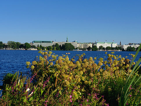 Blick nach Osten von der Außenalster Foto 