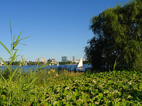 Foto Blick nach Osten von der Außenalster - Hamburg