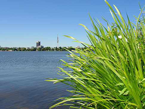 Schöne Aussicht