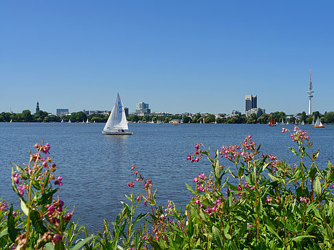 Foto Segeln auf der Außenalster - Hamburg