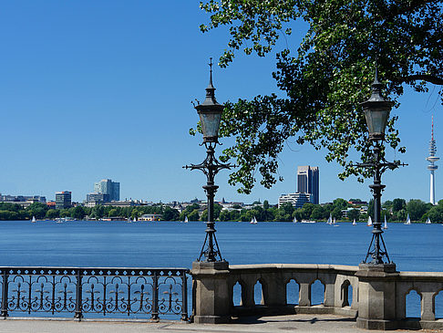 Fotos Bäume und Laterne an der Binnenalster