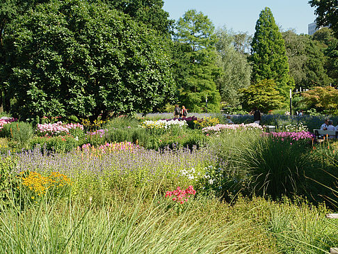 Fotos Planten un Blomen - Gärten | Hamburg