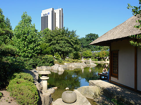 Foto Planten un Blomen - Japanischer Garten - Hamburg