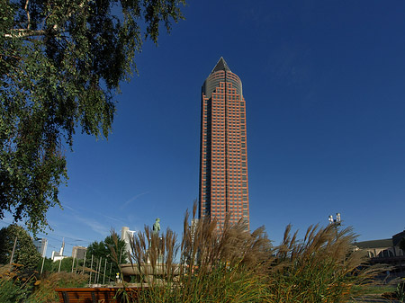 Foto Messeturm auf Wiese