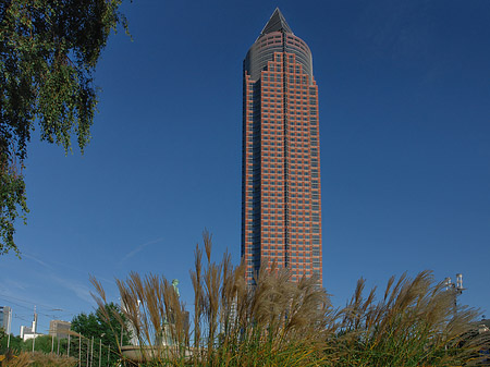 Fotos Messeturm mit Wiese