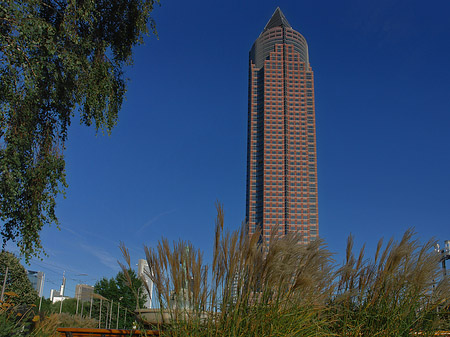 Foto Messeturm mit Wiese - Frankfurt am Main