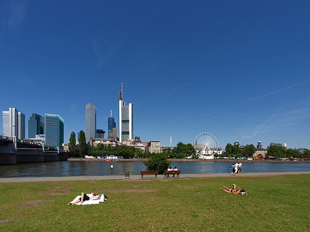 Foto Skyline von Frankfurt mit Sachsenhausener Ufer - Frankfurt am Main