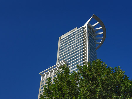 Westendtower mit Baum