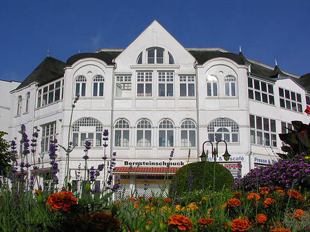 Foto Seebrücke Binz