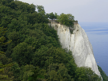 Foto Königsstuhl Kreidefelsen