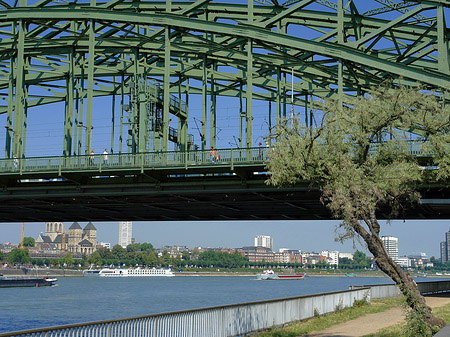 Fotos Hohenzollernbrücke mit Baum