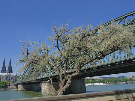 Hohenzollernbrücke am Kölner Dom Fotos