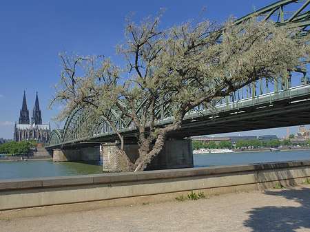 Fotos Hohenzollernbrücke am Kölner Dom