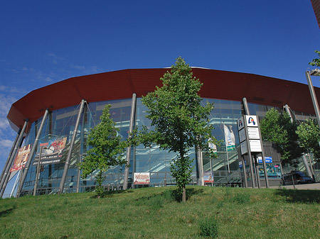 Foto Kölnarena auf einer Wiese - Köln