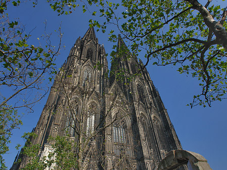 Fotos Westfassade des Kölner Doms