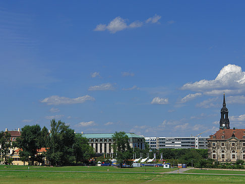 Foto Elbufer - Dresden