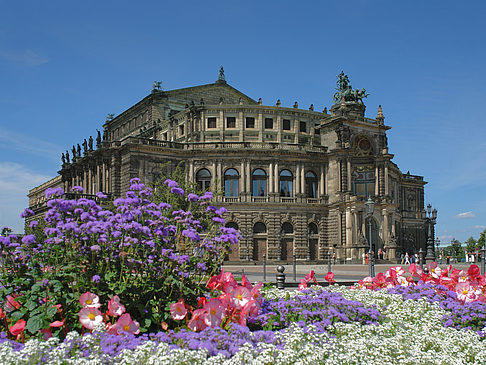 Foto Semperoper mit Blumen - Dresden