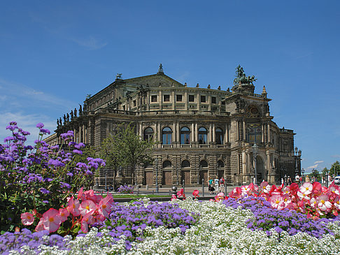 Fotos Semperoper mit Blumen | Dresden