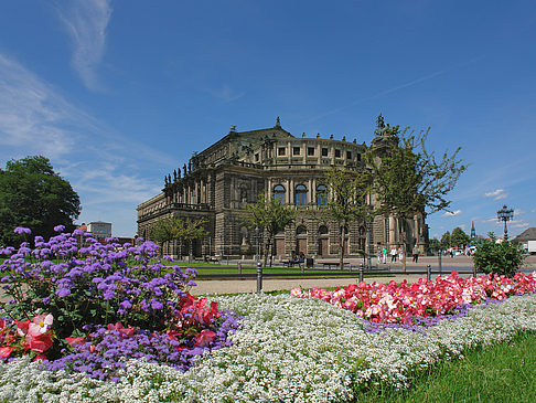 Foto Semperoper mit Blumen - Dresden