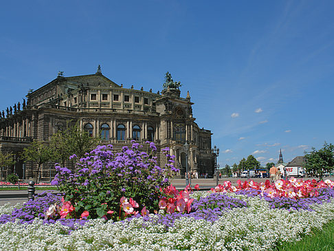 Foto Semperoper mit Blumen - Dresden