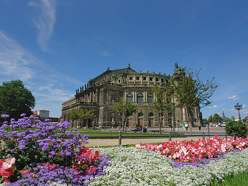 Foto Semperoper mit Blumen - Dresden