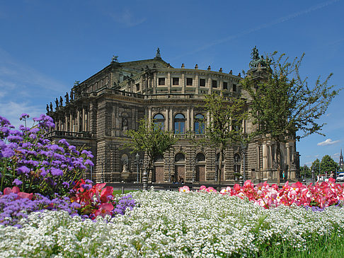 Semperoper mit Blumen Fotos