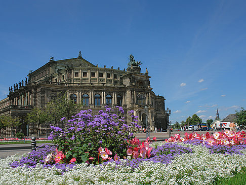 Semperoper mit Blumen Fotos