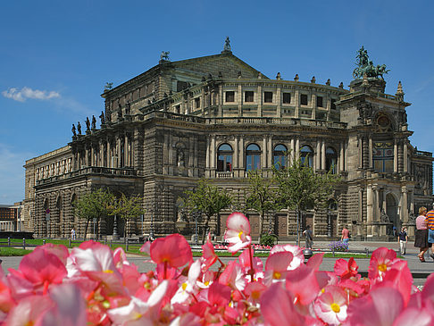 Fotos Semperoper mit Blumen | Dresden