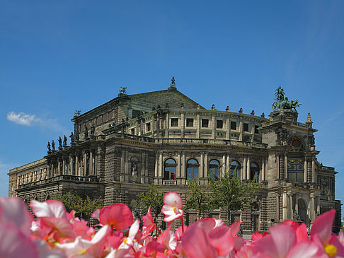 Foto Semperoper mit Blumen - Dresden